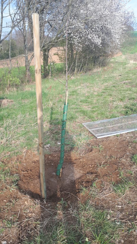 04_April (7) (Mittel)