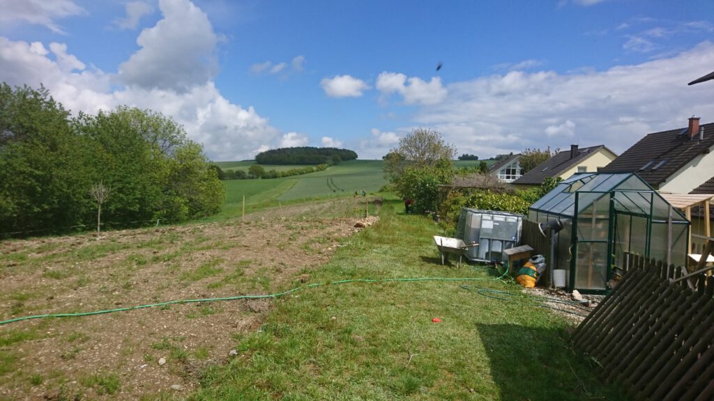05_Mai_das erste Gras wächst (Mittel)